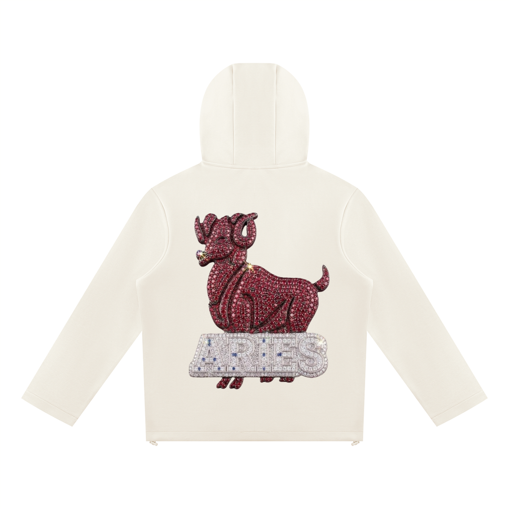 Aries Unisex Paneled Full Zip Hoodie