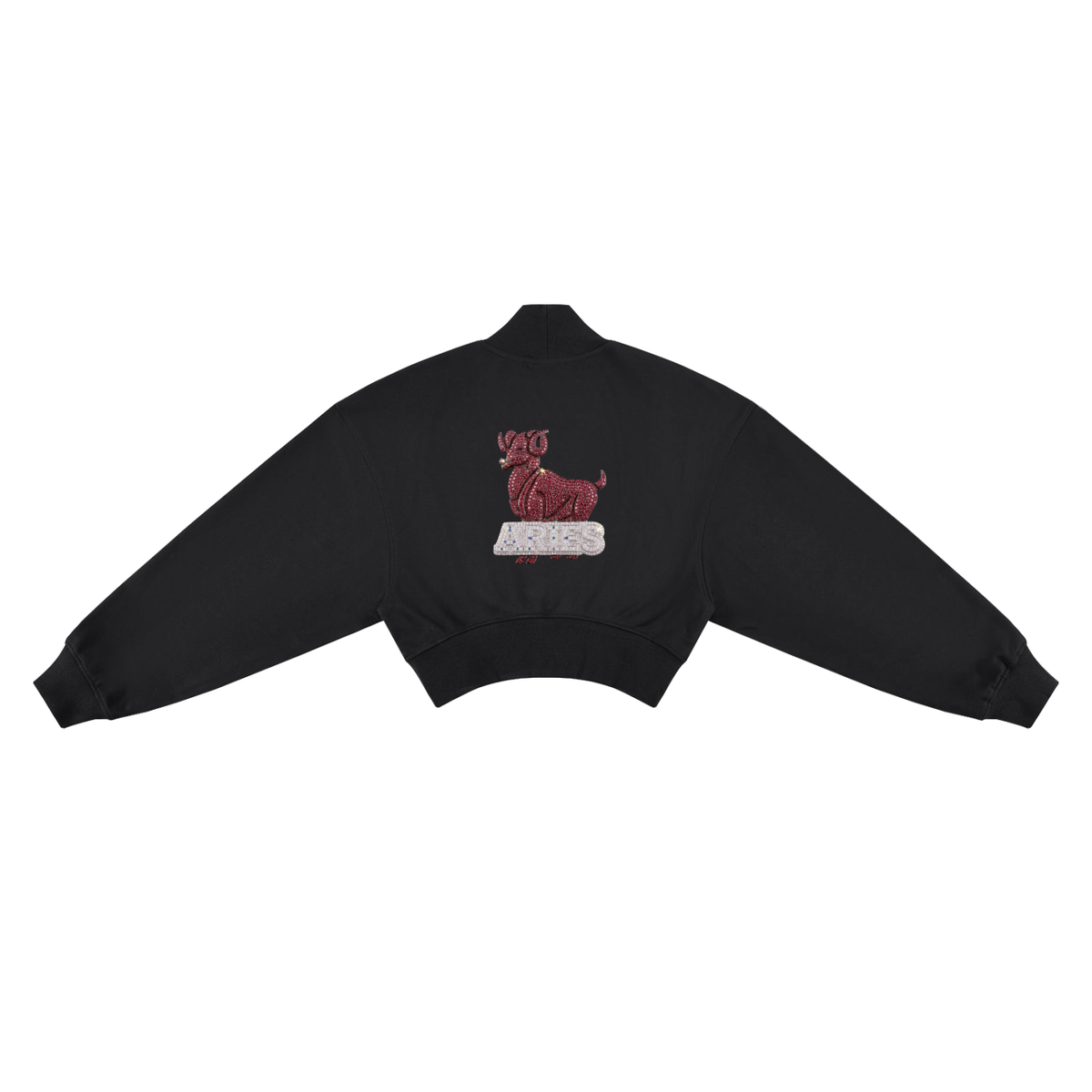 Aries Women's Crop Mock Neck Sweatshirt