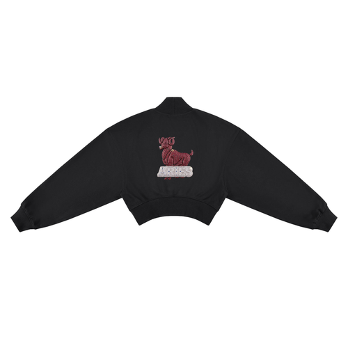 Aries Women's Crop Mock Neck Sweatshirt