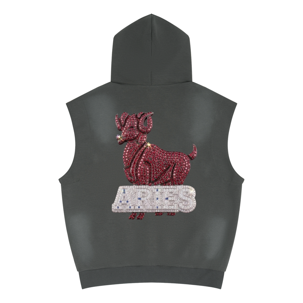 Aries Unisex Vintage Wash Sun Fade Sleeveless Hoodie