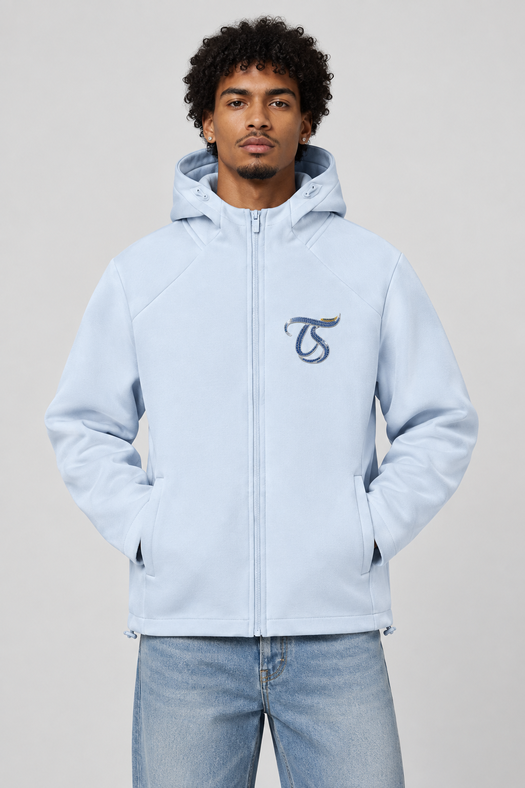 Virgo Unisex Paneled Full Zip Hoodie