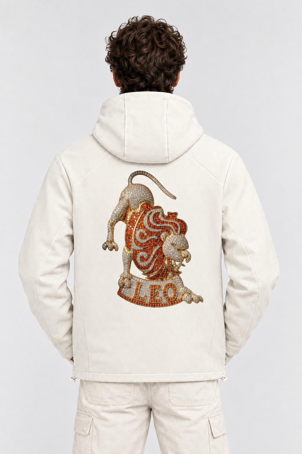 Leo Unisex Paneled Full Zip Hoodie
