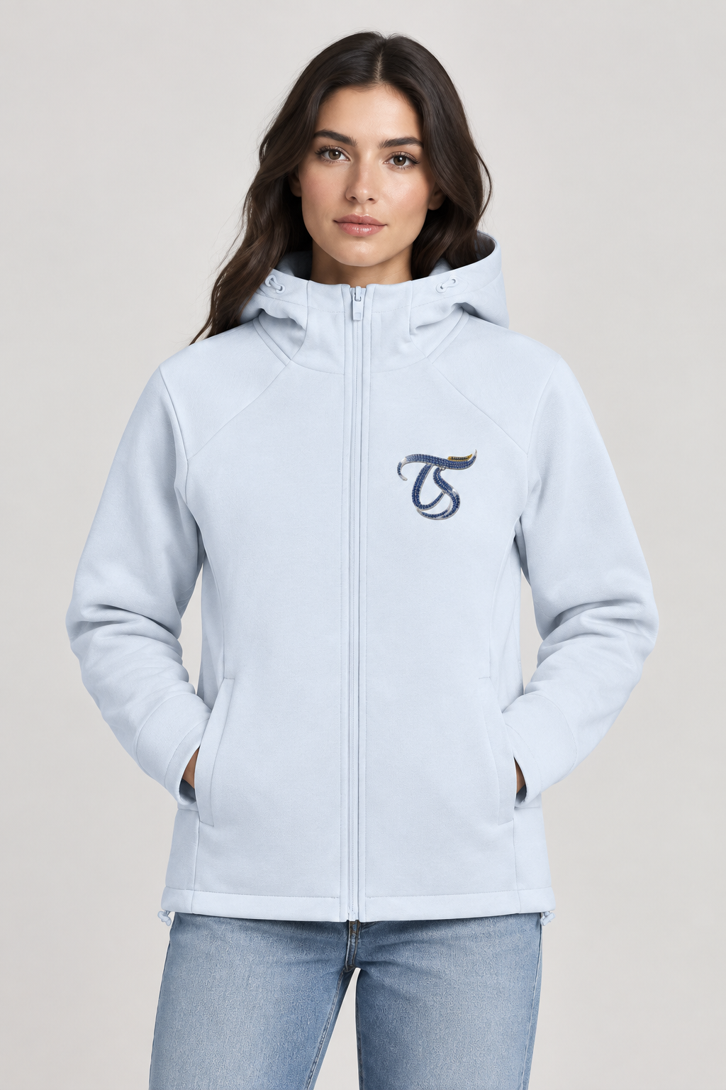 Gemini Unisex Paneled Full Zip Hoodie
